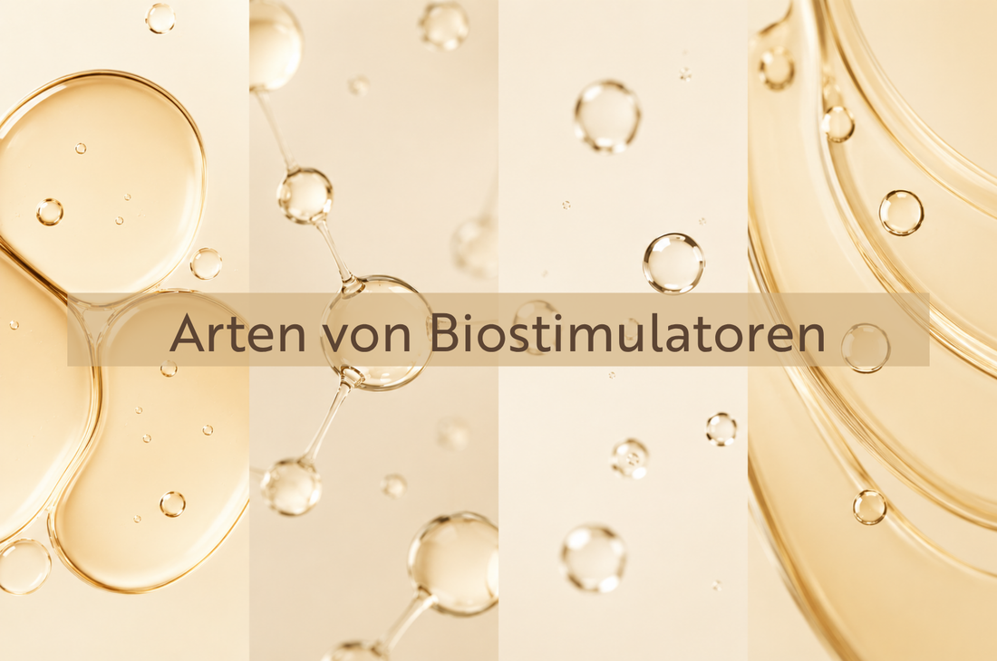 PLLA, CaHA, PCL, PN oder PDRN? So wählen Sie den richtigen Biostimulator aus